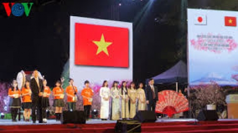 Giao lưu văn hoá Nhật Bản lâng triển lãm pô anh đào đhị Hà Nội