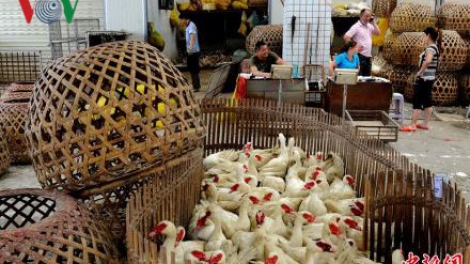 6 tỉnh n’léh váih pr’lúh cúm a tứch a đha
