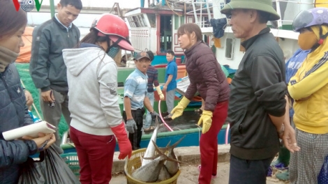 Đhanuôr Quảng Trị bơơn coop a xiu bơơn bấc a xiu chr’nắp bấc