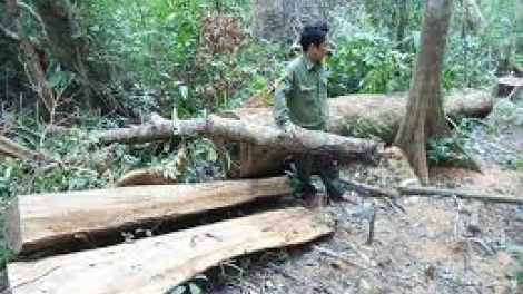 Đăk Nông: Khởi tố Thiếu tá Công an tỉnh tu bh’rợ pa hư crâng