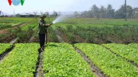 Tiền Giang: K’tiếc quy hoạch ta lơi, đhanuôr chóh chr’nóh chr’bêết chắt váih liêm