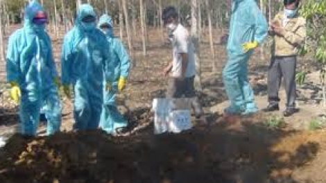 Thừa Thiên Huế: T’bhlầng đương zêl cha groong pr’lúh cúm A