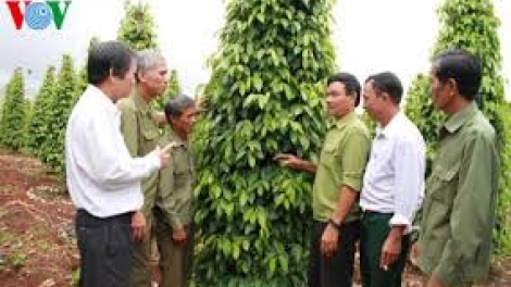 Thừa Thiên Huế: Pa dưr rau chr’nắp âng zập cấp Hội Cựu chiến binh cóh bh’rợ bhrợ têng bhươl cr’noon t’mêê