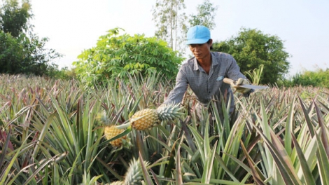 Quảng Trị: T’nơơm zứa âng chô bh’nơơn đoọng ha đhanuôr zr’lụ bôl dal, k’tiếc mốp