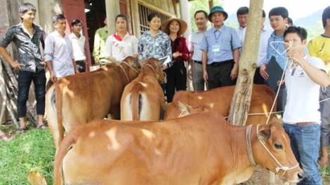 Bình Thuận: Bh’nơơn tợơ bh’rợ zúp zooi pazêng zr’lụ k’đháp k’ra z’lấh đha rựt