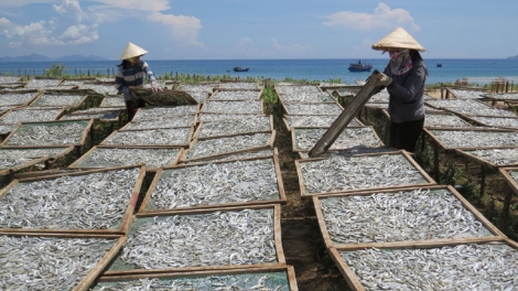 Phú Yên pa dưr bhươl cr’noon bh’rợ tr’nêng ty đanh cóh toor biển
