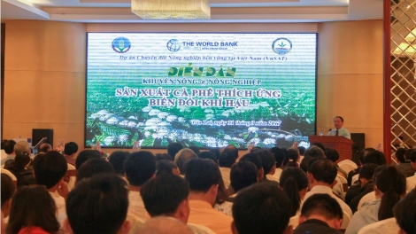 Tây Nguyên: Bhrợ têng cà phê ặt glặp lâng râu tr’xăl âng plêêng k’tiếc