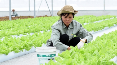 Vặ t’nôm tín dụng nông nghiệp công nghệ dal veye lãi suất đệ lấh tơợ 0,5 tước 1,5 %/c’moo