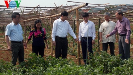 Sơn La: Padưr bh’rợ âng doanh nghiệp, Hợp tác xã đắh padưr pa’xớc kinh tế nông nghiệp