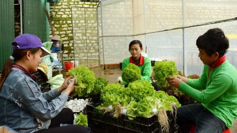 Lâm Đồng: K’đháp toọm chr’nóh chr’bệêt Trung Quốc g’lớc nắc chr’nóh Đà Lạt
