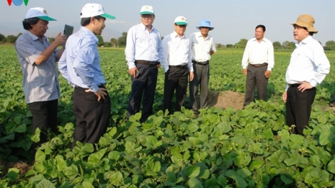 Ninh Thuận t’bhlâng xăl tơơm chr’nóh