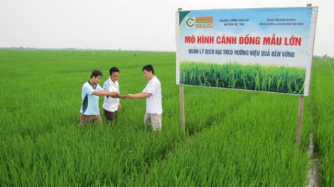 Khánh Hoà k’rong bhrợ lấh 260 tỷ đồng bhrợ têng clung ga mắc