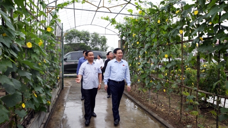 Phó Thủ tướng Vương Đình Huệ lưm vel bhươl t’mêê kiểu mẫu Hà Tĩnh