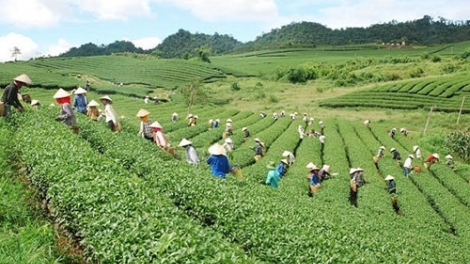 Hội nghị nhăn boóp p’rá ooy bh’rợ pa dưr du lịch Tây Bắc