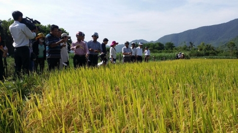 Apêê tỉnh cóh toor biển Nam Trung bộ lâng Tây Nguyên t’đui đươi m’ma ha roo m’bứi t’ngay