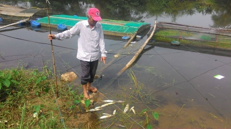 Thừa Thiên-Huế: Axiu băn cóh cr’loọng đhị k’ruung Bồ chêết z’broọ tu cắh zấp ôxy