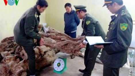 Quảng Bình: Đhr’năng bơơn pay n’loong Hương giáng lết xa nay dzợ ặt váih