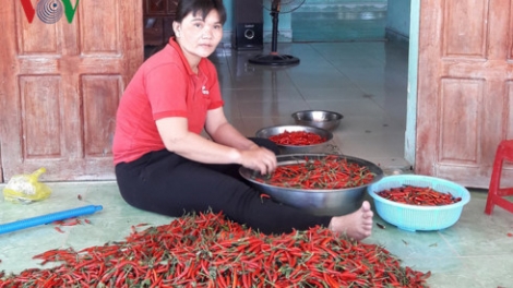 Quảng Ngãi: Chr’nắp prớ xiêr, chr’đhá lâng k’đác cắh năl đhị pa câl, đhanuôr lưm k’đháp bhlầng