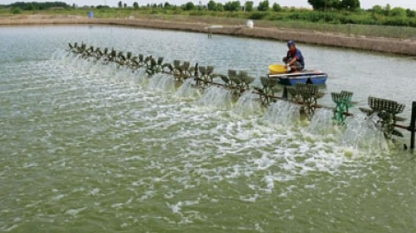 Cà Mau têêm ngăn k’tiếc băn a’chông