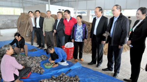 Tp.HCM hơnh déh 20 c’moo bhrợ padưr Liên minh Hợp tác xã