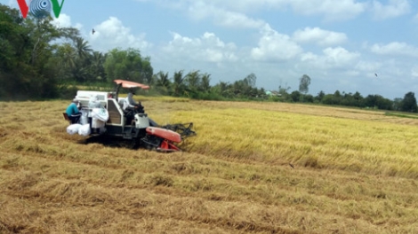 Tiền Giang ha’roo hân noo ch’noọng bơơn bhrợ bấc, pa’câl bấc zên