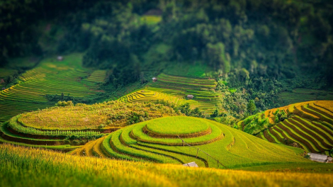 VIỆT NAM LIÊM PR’HAY HÂN NOO HA ROO ĐOỌM