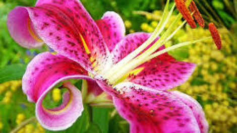 T'RUÍH PA XƯL T'NGAY 11/8/2018