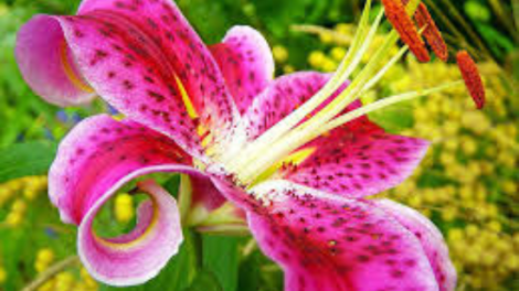 T'RUIH PA XUL T'NGAY 10/9/2018