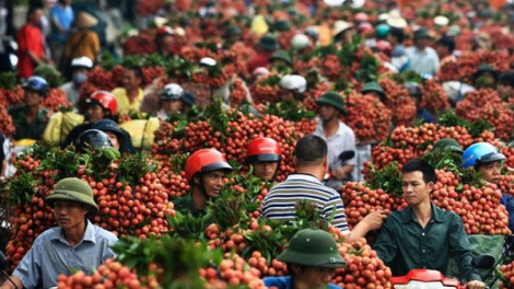 P’lêê vải đắh Bắc bơơn chấc p’lêê ha dợ pa câl m’bứi zên