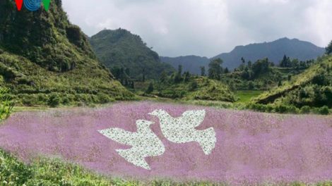 Hà Giang: Bhiệc bhan pô tam giác mạch g’lúh 4