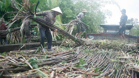 Nắc zư đớc 300 r’bhâu hecta atao cóh prang k’tiếc k’ruung tước ooy c’moo 2030