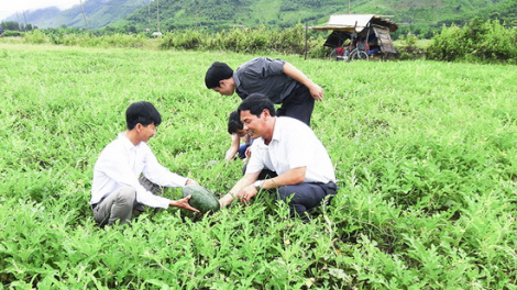 Quảng Trị: Bơơn bh’nơơn z’zăng tợơ cr’nọo  bh’rợ bhrợ têng cha k’rong pa zêng đhị muy chr’val da ding k’coong