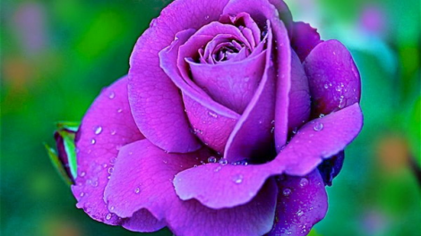 T'RÚIH PA XUL T'NGAY 17/9/2018