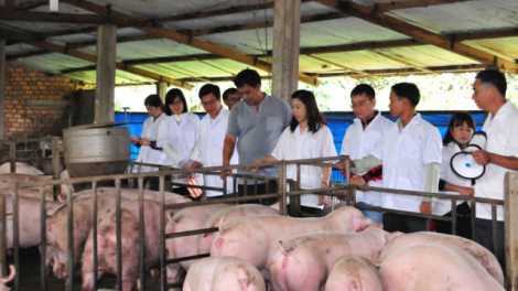T’bhlâng đươi dua khoa học kỹ thuật pa dưr bh’rợ b’băn crêê cơnh lâng đhr’năng tr’xăl âng pleng k’tiếc