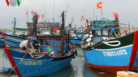 Thừa Thiên Huế: Zúp zooi 3,5 tỷ đồng zên bảo hiểm đoọng ha bhuông ra kịt ch’ngai toor
