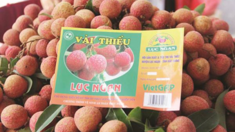 Việt Nam vêy đợ pr’đươi tơợ chr’nóh chr’bêết, bh’năn vêy ta xay moon zư lêy ooy xa nay xay moon bhrợ têng dzoong t’nooi g’lúh 2 cóh Đông Nam Á