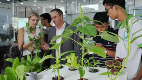 Đà Nẵng: Ươm liêm choom bấc dự án bhrợ cha
