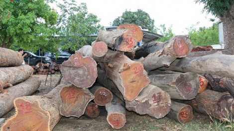 Đắk Lắk: Khởi tố Hạt trưởng Hạt Kiểm lâm đương zúp zooi ha manuýh bhrợ n’loong lất xa nay Phượng ma biếu