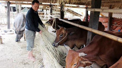 Sơn La: Padưr pa xớc bhiệc b’băn ting c’lâng nhâm mâng