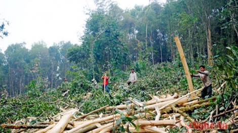 Con Cuông bhrợ têng pa dưr râu chr’nắp tơợ crâng