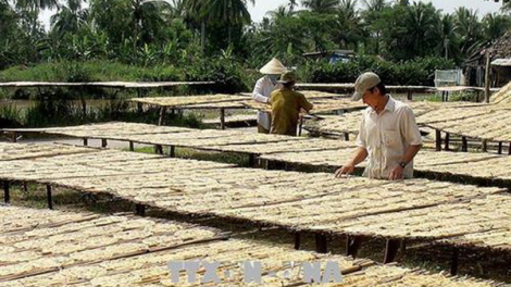 Cà Mau: Pa choom bh’rợ tr’nêng đoọng ha 2.300 apêê pa bhrợ nắc đhanuôr acoon cóh