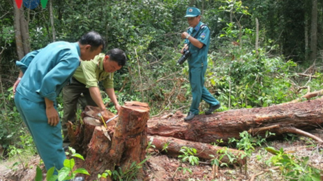 T’bhlâng điều tra pazêng bh’rợ pa hư crâng cóh zr’lụ zư lêy crâng k’coong Tà Cú