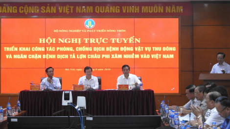 Zêl cha’groong đhr’năng moót boọ váih pr’lúh pa zúah cóh a’ọc Châu Phi