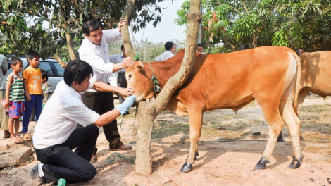 Quảng Trị dưr váih pr’lúh tr’loọ bhíh buum boọp tr’ploóc chr’coóp ooy bh’năn