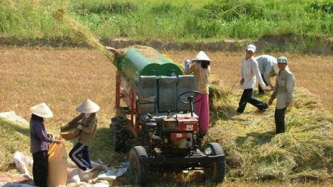 Bình Định: Zooi đoọng đha nuôr acoon cóh chóh bhrợ ha roo lai bơơn bh’nơơn bấc
