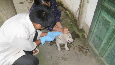 512 cha nắc manuýh chêết bil tu cr’ăy dại cóh 5 c’moo ahay