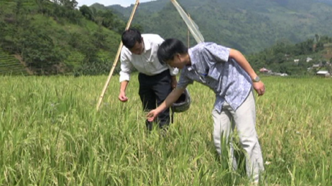 Ch’néh k’xai dâu Tả Lèng chắt váih liêm, chr’nắp dal
