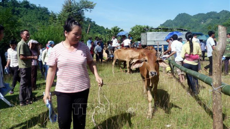Cr’chăl 2012-2016: Đha rựt bấc n’đắh xiêr tơợ 18,1% xiêr dzợ 10,9%
