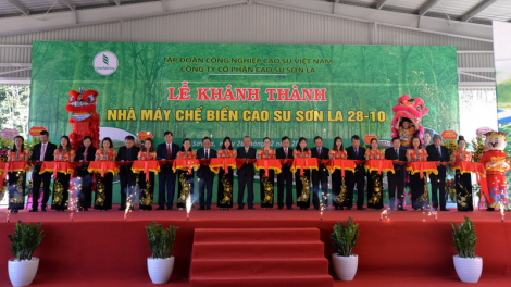 Sơn La: Khánh thành đông máy bhrợ têng dzêết cao su công suất 9.000 tấn đhị mưy c’moo