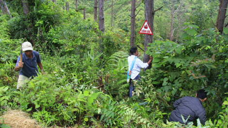 Kon Tum: Đhanuôr nắc bơơn đươi râu liêm chr’nắp đắh bhiệc ting lêy k’đhơợng zư crâng